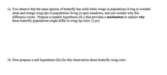 la. You observe that the same species of butterfly has solid white wings in populations living in wooded areas and orange wing tips in populations living in open meadows, and you wonder why this difference exists. Propose a testable hypothesis (HA) that provides a mechanism to explain why these butterfly populations might differ in wing tip color. (2 pts) lb. Now propose a null hypothesis (Ho) for this observation about butterfly wing color