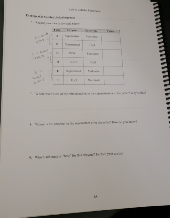 Lab 6: Cellular Respiration Exercise 6.2: Succinic dehydrogenase 6. Record your dats in the table below Tube EnzymeSubs rateColor A Supermatant Succinate with b Pellet Succinate wik D Pellet HiO E Supernatant Malonate Roite H2O Succinate 7. Where were most of the mitochondria: in the supernatant or in the pellet? Why is this? 8. Where is the enzyme: in the supernatant or in the pellet? How do you know? 9. Which substrate is best for this enzyme? Explain your answer