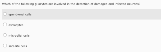 Which of the following gliocytes are involved in t