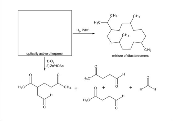 CHз Cнз HзС- Н, Раc Cнз Cнз optically active diterpene mixture of diastereomers 1)Og 2) Zn/HOAC HаС Hас CHз + н н H н Hас