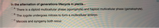 In the alternation of generations lifecycle in plants... A. There is a diploid multicellular phase (sporophyte) and haploid m
