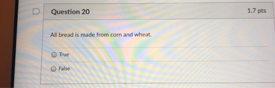 D Question 20 1.7 pts All bread is made from corn and wheat. O True O False