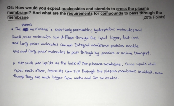 Q6: How would you expect nucleosides and steroids to cross the plasma membrane? And what are the requirements for compounds t