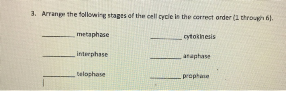3. Arrange the following stages of the cell cycle in the correct order (1 through 6). metaphase cytokinesis interphase anapha