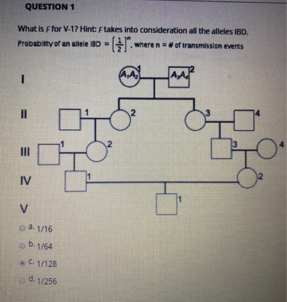 QUESTION 1 What is F for V-17 Hint: F takes into consideration all the al Probability of an allele iBD .where n aw of transmission events leles IBD. Probabilityofanalele IBD-er, where n. #oftransmission 2 3 2 4 o a 1/16 C. 1/128 1/256