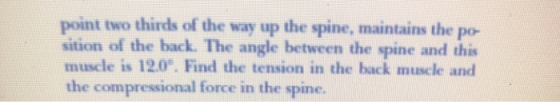 point two thirds of the way up the spine, maintains the po- sition of the back. The angle between the spine and this muscle i