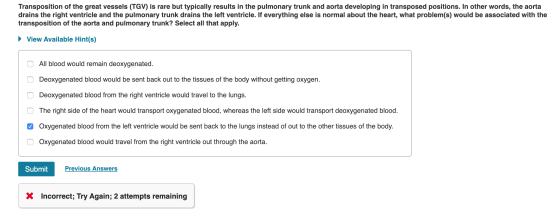 Transposition of the great vessels (TGV) is rare but typically results in the pulmonary trunk and aorta developing in transpo