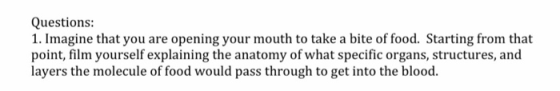 Questions: 1. Imagine that you are opening your mouth to take a bite of food. Starting from that point, film yourself explain