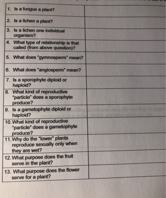 1. Is a fungus a plant? 2. Is a lichen a plant? 3. Is a lichen one individual organism? 4. What type of relationship is that
