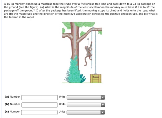 A 15 kg monkey climbs up a massless rope that runs over a frictionless tree limb and back down to a 23 kg package on the ground (see the figure). (a) What is the magnitude of the least acceleration the monkey must have if it is to lift the package off the ground? If, after the package has been lifted, the monkey stops its climb and holds onto the rope, what are (b) the magnitude and the direction of the monkeys acceleration (choosing the positive direction up), and (c) what is the tension in the rope? Units () Number Units (a) Number (c) Number Units