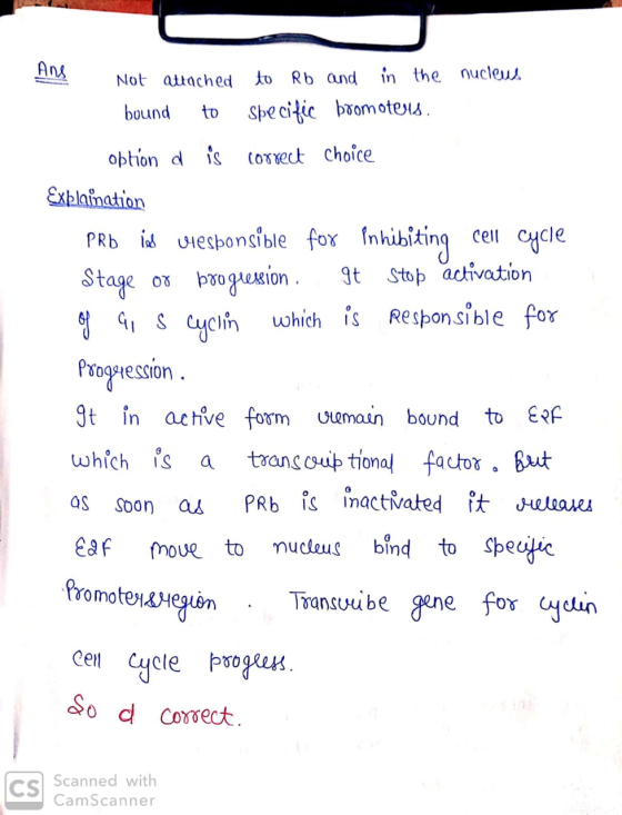 Ans Not attached to Rb and in the nucleus bound to Specific bromoteru 07 obtion d is correct choice Explaination PRb lios vie