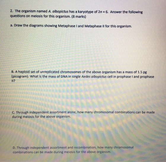 2. The organism named A. albopictus has a karyotype of 2n = 6. Answer the following questions on meiosis for this organism. (