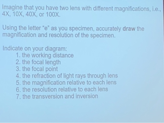 Imagine that you have two lens with different magnifications, i.e 4x, 10x, 40X, or 100X. Using the letter e as you specimen, accurately draw the magnification and resolution of the specimen. Indicate on your diagram: 1. the working distance 2. the focal length 3. the focal point 4. the refraction of light rays through lens 5, the magnification relative to each lens 6. the resolution relative to each lens 7. the transversion and inversion
