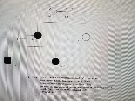 1-1 1-2 l-3 III-2.5 ss how you beliese this trait (connected earlobe) is transmitterd 2 Why s the trait most likely dominant on rec l this trat modt hely Are there ay other modes of nheritance extensions of Mendelian genet s trait most li autosomal or sex inked? Why? conside (Gucli as sex nfluenced sex limted etc