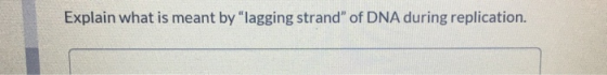 Explain what is meant by lagging strand of DNA during replication.