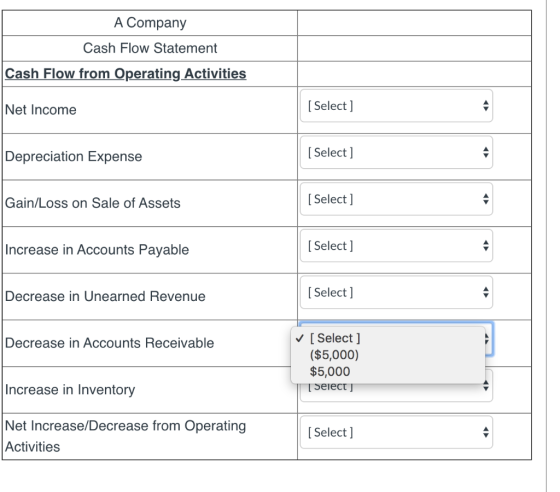 A Company Cash Flow Statement Cash Flow from Operating Activities Net Income [ Select] Depreciation Expense [ Select] Gain/Lo
