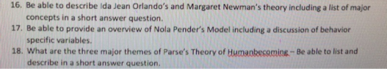 Be able to describe ida Jean Orlandos and Margaret Newmans theory including a list of major 16. concepts in a short answer