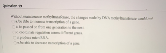 Question 19 Without maintenance methyltransferase, the changes made by DNA methyltransferase would not a. be able to increase