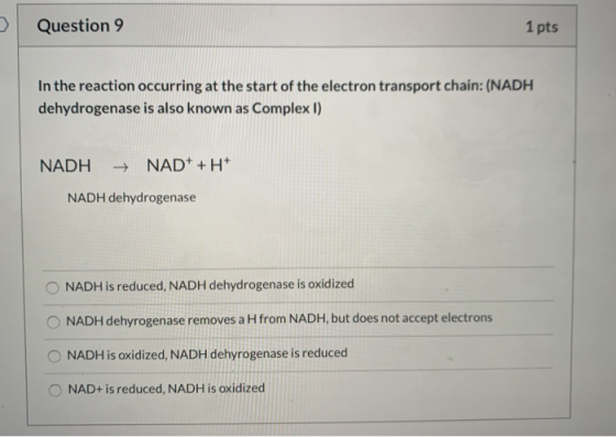 Question 9 1 pts In the reaction occurring at the start of the electron transport chain: (NADH dehydrogenase is also known as