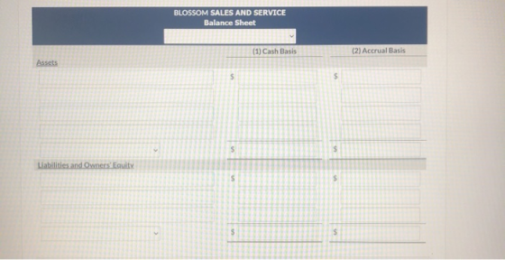 BLOSSOM SALES AND SERVICE Balance Sheet (1) Cash Basis (2) Accrual Basis Assets $ $ $ $ Liabilities and Owners Equity S $ $