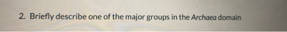 2. Briefly describe one of the major groups in the Archaea domain
