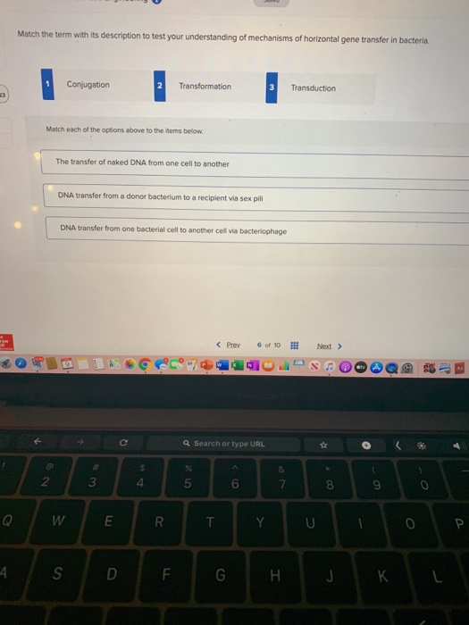 Match the term with its description to test your understanding of mechanisms of horizontal gene transfer in bacteria Conjugat