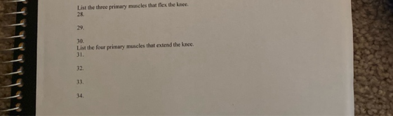 List the three primary muscles that flex the knee. 28. 29. 30. List the four primary muscles that extend the knee. 31. 32 33.