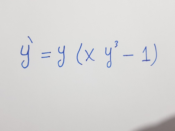 y = ५ (x ५- 1)