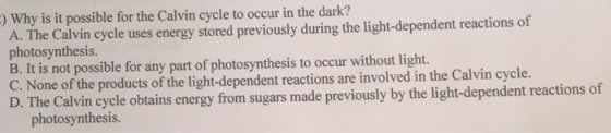 Why is it possible for the Calvin cycle to occur i