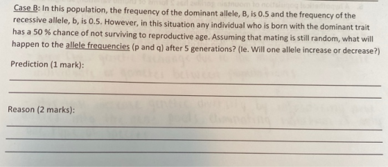 Case B: In this population, the frequency of the dominant allele, B, is 0.5 and the frequency of the recessive allele, b, is