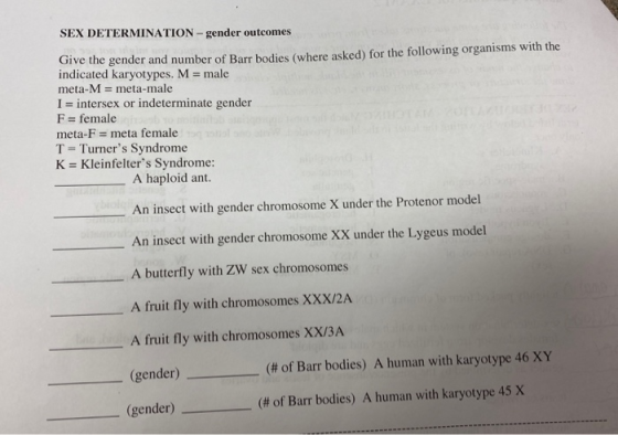SEX DETERMINATION - gender outcomes Give the gender and number of Barr bodies (where asked) for the following organisms with