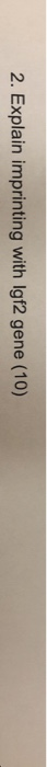 2. Explain imprinting with lgf2 gene (10)