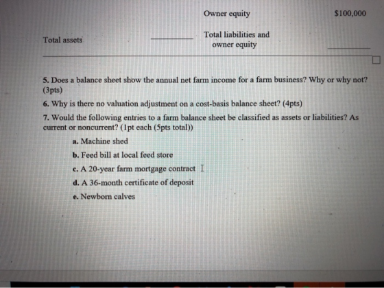 Owner equity $100,000 Total assets Total liabilities and owner equity 5. Does a balance sheet show the annual net farm income