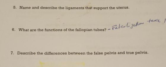 5. Name and describe the ligaments that support the uterus. 6. What are the functions of the fallopian tubes? -tar pian tubes