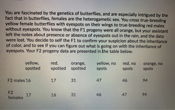 You are fascinated by the genetics of butterflies, and are especially intrigued by the fact that in butterflies, females are