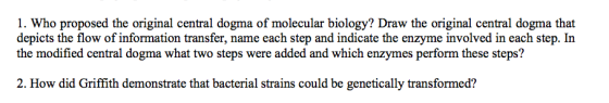 1. Who proposed the original central dogma of molecular biology? Draw the original central dogma that depicts the flow of information transfer, name each step and indicate the enzyme involved in each step. In the modified central dogma what two steps were added and which enzymes perform these steps? 2. How did Griffith demonstrate that bacterial strains could be genetically transformed?
