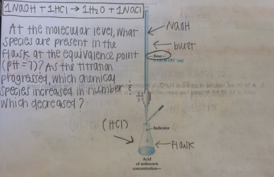 ftt the morecwar leve, What Species are prerent in the NadH uk at the equivaience point Base progrased, which Chemica species