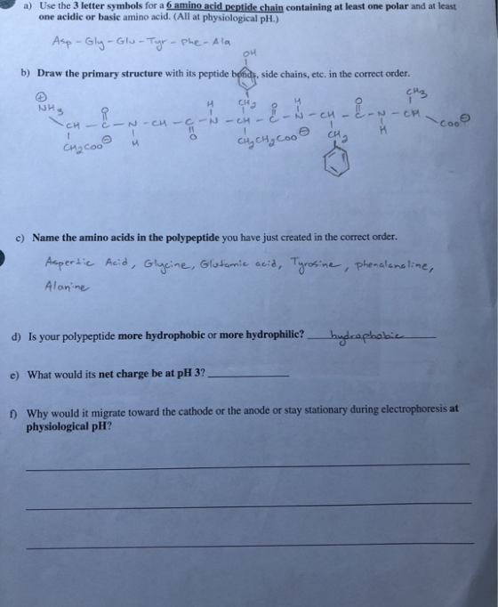 a) Use the 3 letter symbols for a 6 amino acid peptide chain containing at least one polar and at least one acidic or basic a