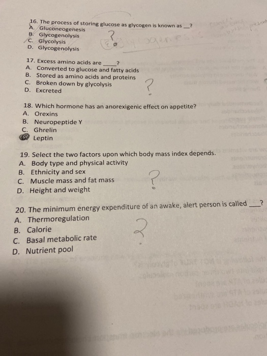 16. The process of storing glucose as glycogen is known as? A. Gluconeogenesis B. Glycogenolysis C. Glycolysis D. Glycogenoly
