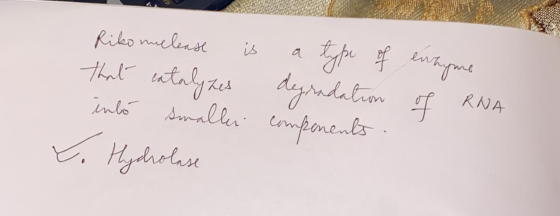 Riko nuclease is that entalyzes inló smaller a type of enzyme degradation of RNA components. t. Hydrolase