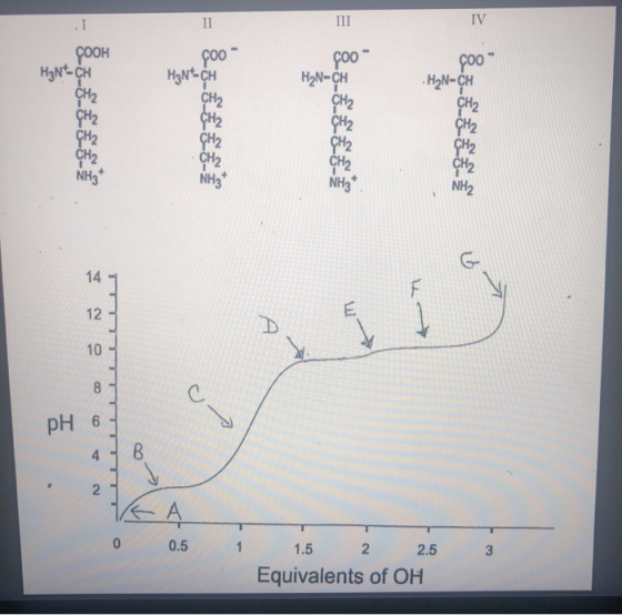 FOO COOH H₂Ntch CH2 CH2 HANTCH Çoo H2N-CH CHO CH2 CH2 CH2 CH2 CH2 NH3 NH3 2 o pH 6 4 - B 1/ 0 А 0.5 1 1 1.5 2 2.5 Equivalent