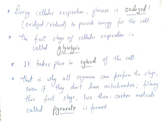 * During cellular respiration, glucose is oxidized ! (oxidized / reduced) to provide energy for the cell. * The first stage o