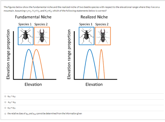 The figures below show the fundamental niche and the realized niche of two beetle species with respect to the elevational ran