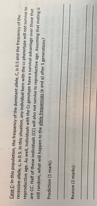 Case C: In this population, the frequency of the dominant allele, C, is 0.5 and the frequency of the recessive allele, c, is