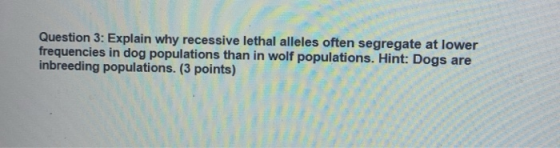 Question 3: Explain why recessive lethal alleles often segregate at lower frequencies in dog populations than in wolf populat
