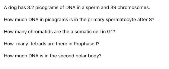 A dog has 3.2 picograms of DNA in a sperm and 39 chromosomes. How much DNA in picograms is in the primary spermatocyte after