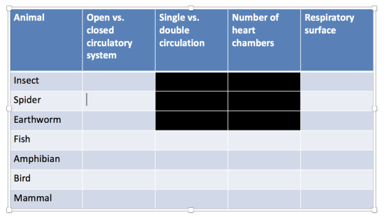 Animal Open vs. closed circulatory system Single vs. double circulation Number of heart chambers Respiratory surface Insect S
