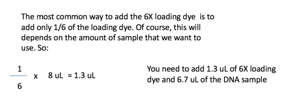 The most common way to add the 6X loading dye is to add only 1/6 of the loading dye. Of course, this will depends on the amou