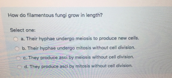 How do filamentous fungi grow in length? Select one: O a. Their hyphae undergo meiosis to produce new cells. b. Their hyphae