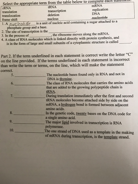 Select the appropriate term from the table below to complete eacALUlllllell. tRNA rRNA replication transcription translation DNA. deletion translocation frame shift nucleus a l. A Duckohde unit of nucleic acid containing a sugar attached to is a phosphate group and a base. 2. The site of transcription is the the ribosome moves along the mRNA. 3. In the process of 4. A class of RNA molecules which is linked directly with protein synthesis, and is in the form oflarge and small subunits of a cytoplasmic structure is called Part 2. If the term underlined in each statement is correct write the letter C on the line provided. If the terms underlined in each statement is incorrect than write the term or terms, on the line, which will make the statement correct. The nucleotide bases found only in RNA and not in DNA is thymine. The class of RNA molecules that carries the amino acids that are added to the growing polypeptide chain is tRNA. During translation immediately after the first and second tRNA molecules become attached side by side on the mRNA, a hydrogen bond is formed between adjacent amino acids. In the genetic code, twenty bases on the DNA code for a single amino acid. The major lipid involved in transcription is RNA polymerase. 10. The one strand of DNA used as a template in the making of mRNA during transcription, is the template strand.